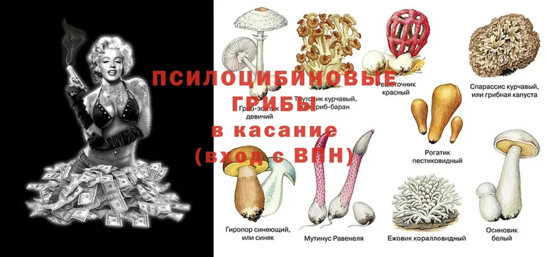 Хочу наркоту Карпинск Конопля  Галлюциногенные грибы  ГАШ  Мефедрон 