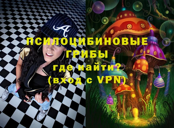 герыч Новозыбков