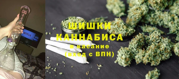 тгк Няндома