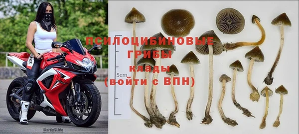 2c-b Новокубанск