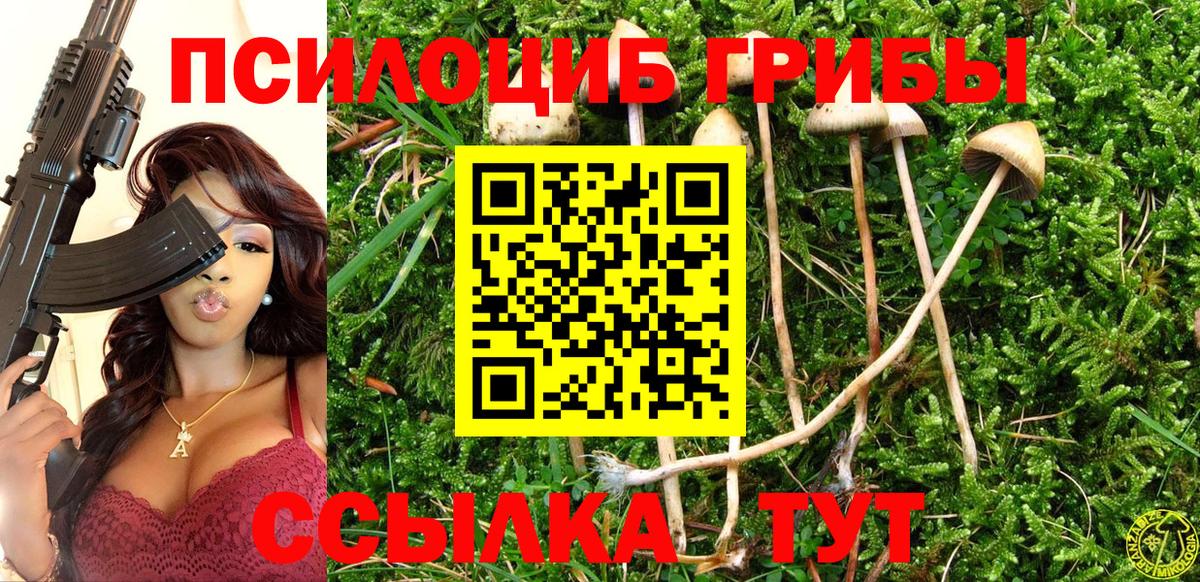 Псилоцибиновые грибы Psilocybe Карпинск