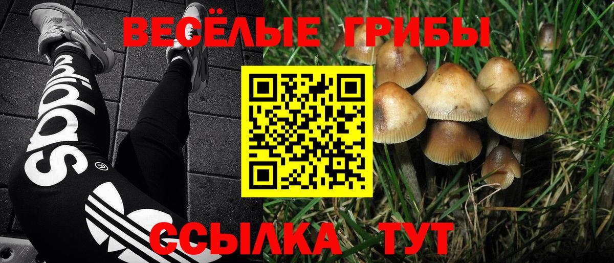 Карпинск  купить наркотики цена  Вход с VPN  Псилоцибиновые грибы Cubensis 